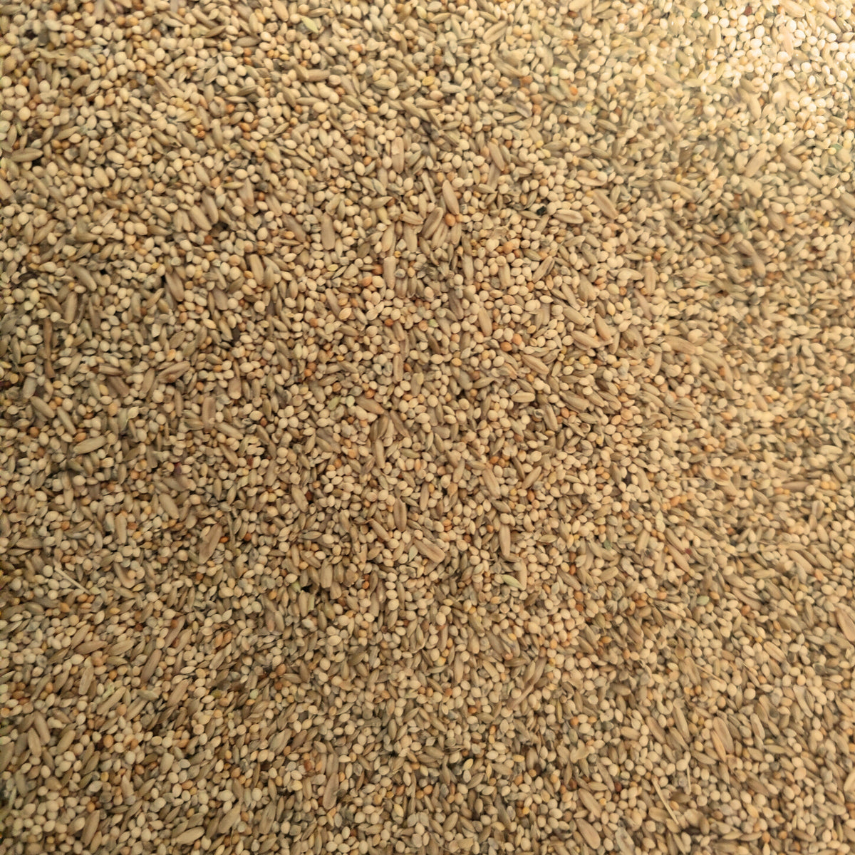 Budgie Mix 2kg or 4kg