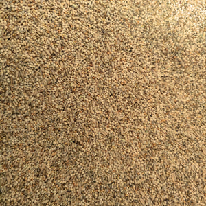 Budgie Mix 2kg or 4kg
