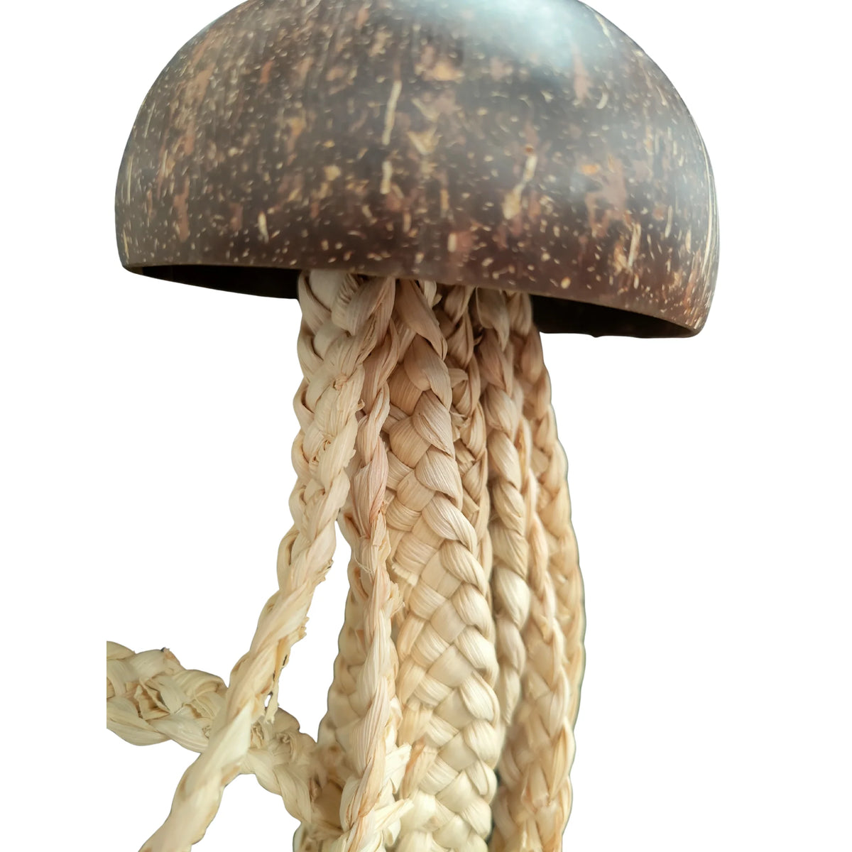 Coconut Jellyfish Bird Toy