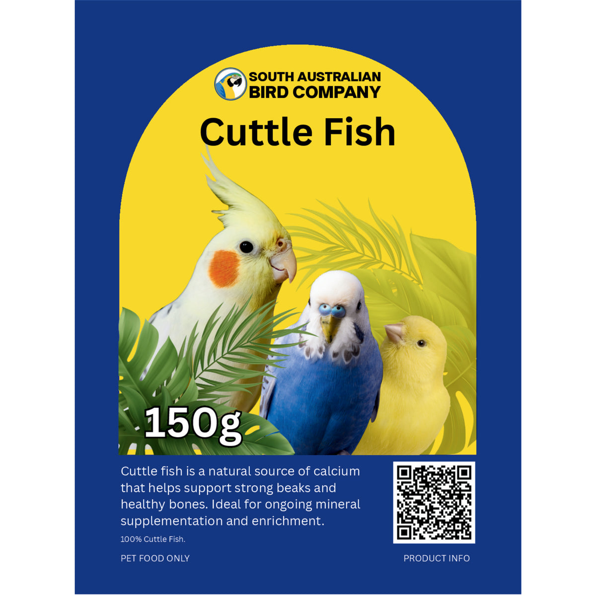 Cuttle Fish