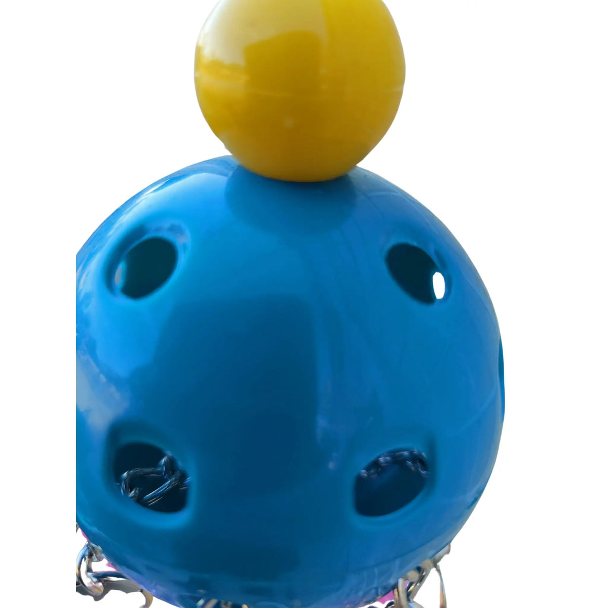 Dummy Pull Bird Toy
