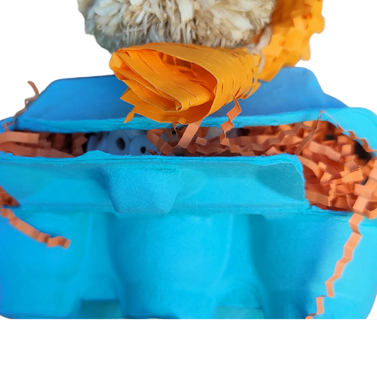 Eggy Shred Bird Toy