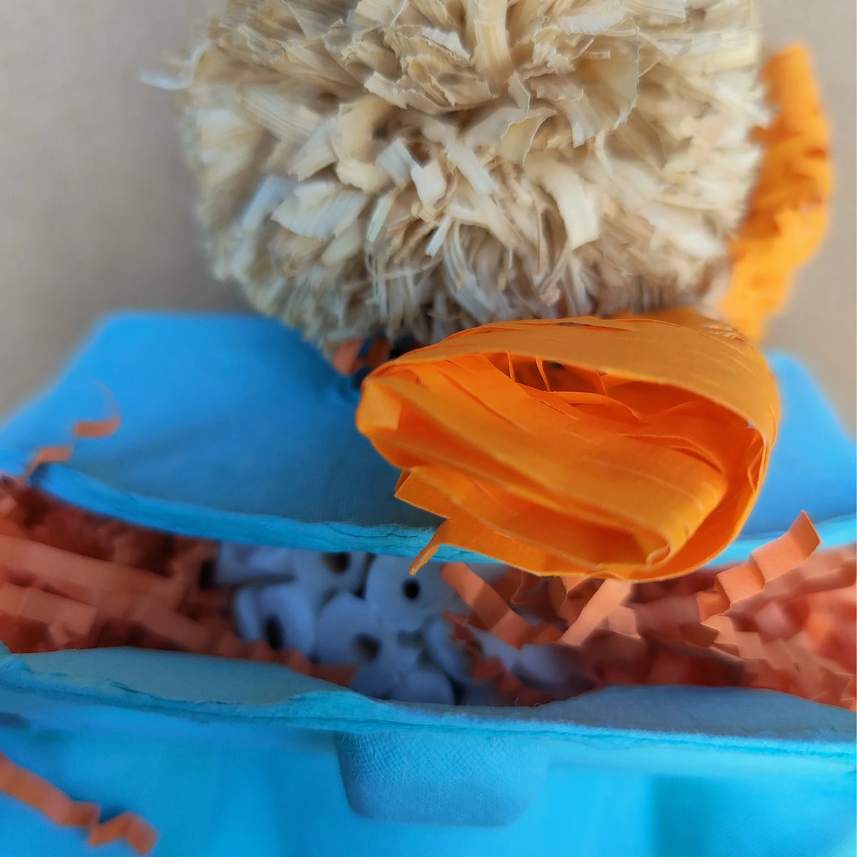 Eggy Shred Bird Toy