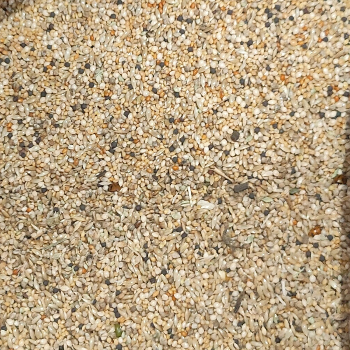 Finch Mix
