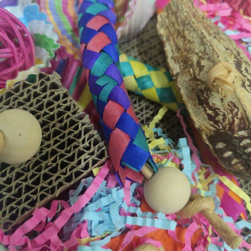 Fun Cardboard Shred Bird Toy