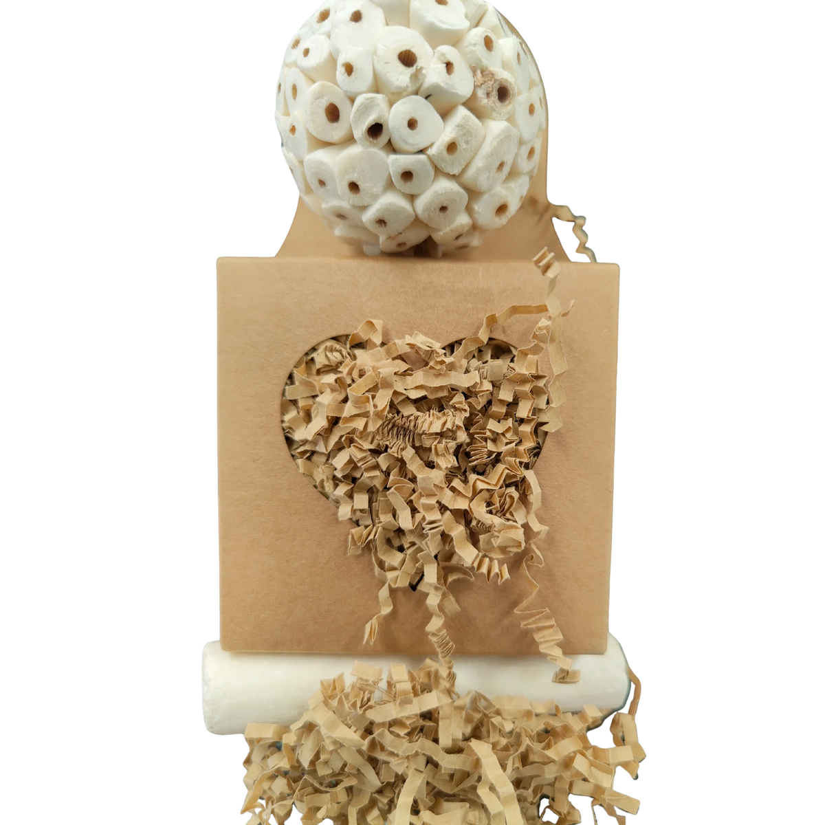 Galaxy Box Bird Toy