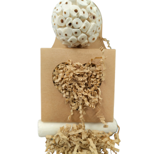 Galaxy Box Bird Toy