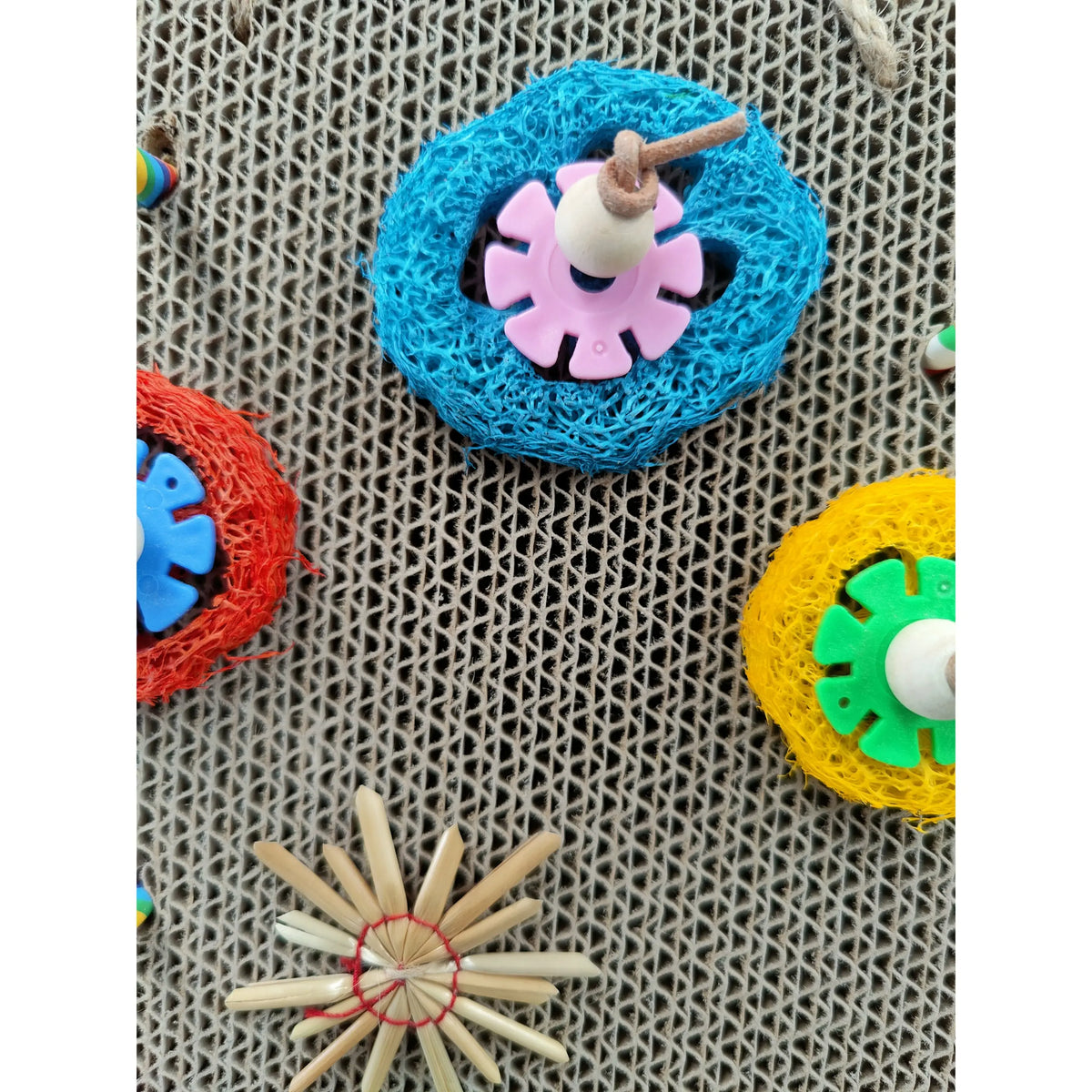 Hanging Cardboard with Lufa Bird Toy