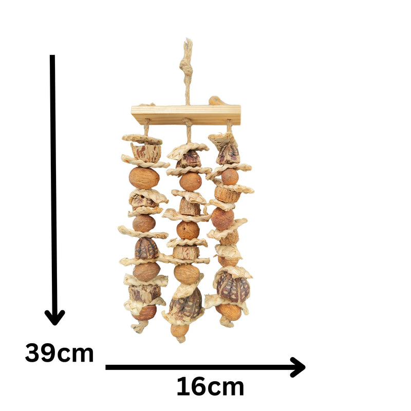 Hanging Mahogony and Nuts Bird Toy