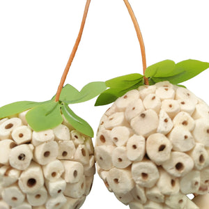 Hanging Sola Balls Bird Toy
