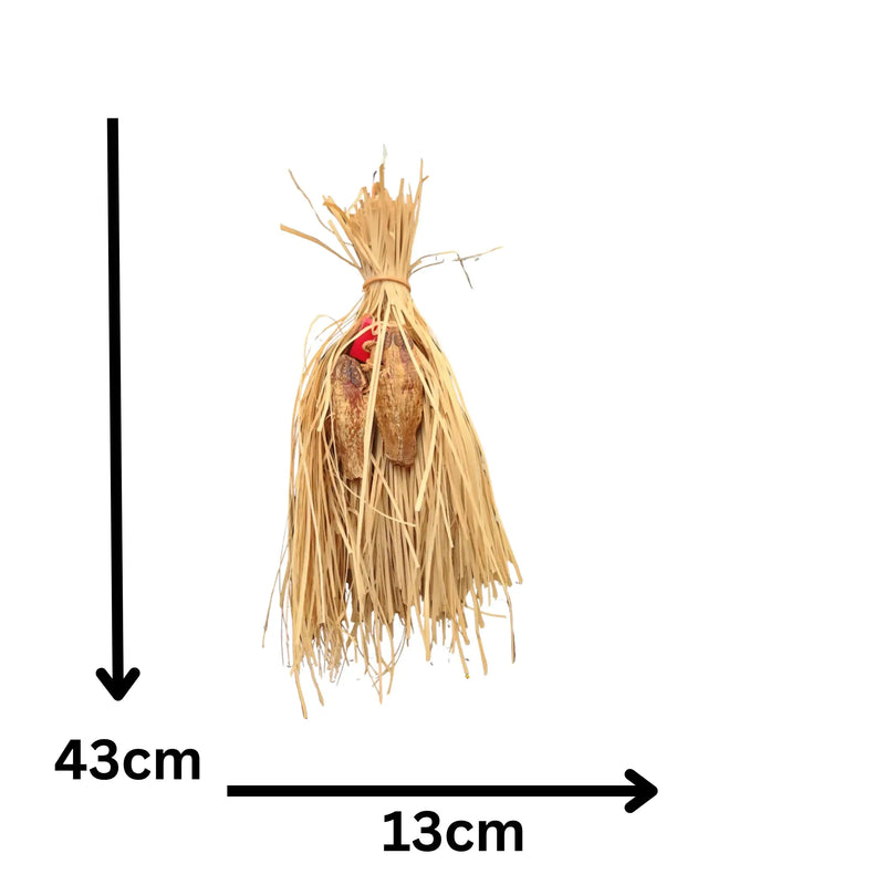 Hidden Mahogony Treats Bird Toy