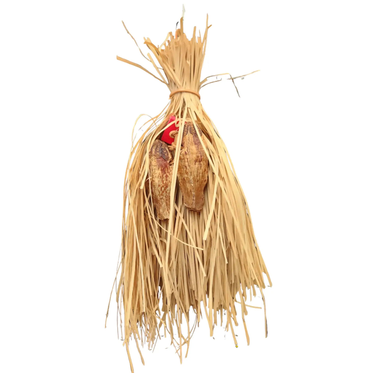 Hidden Mahogony Treats Bird Toy