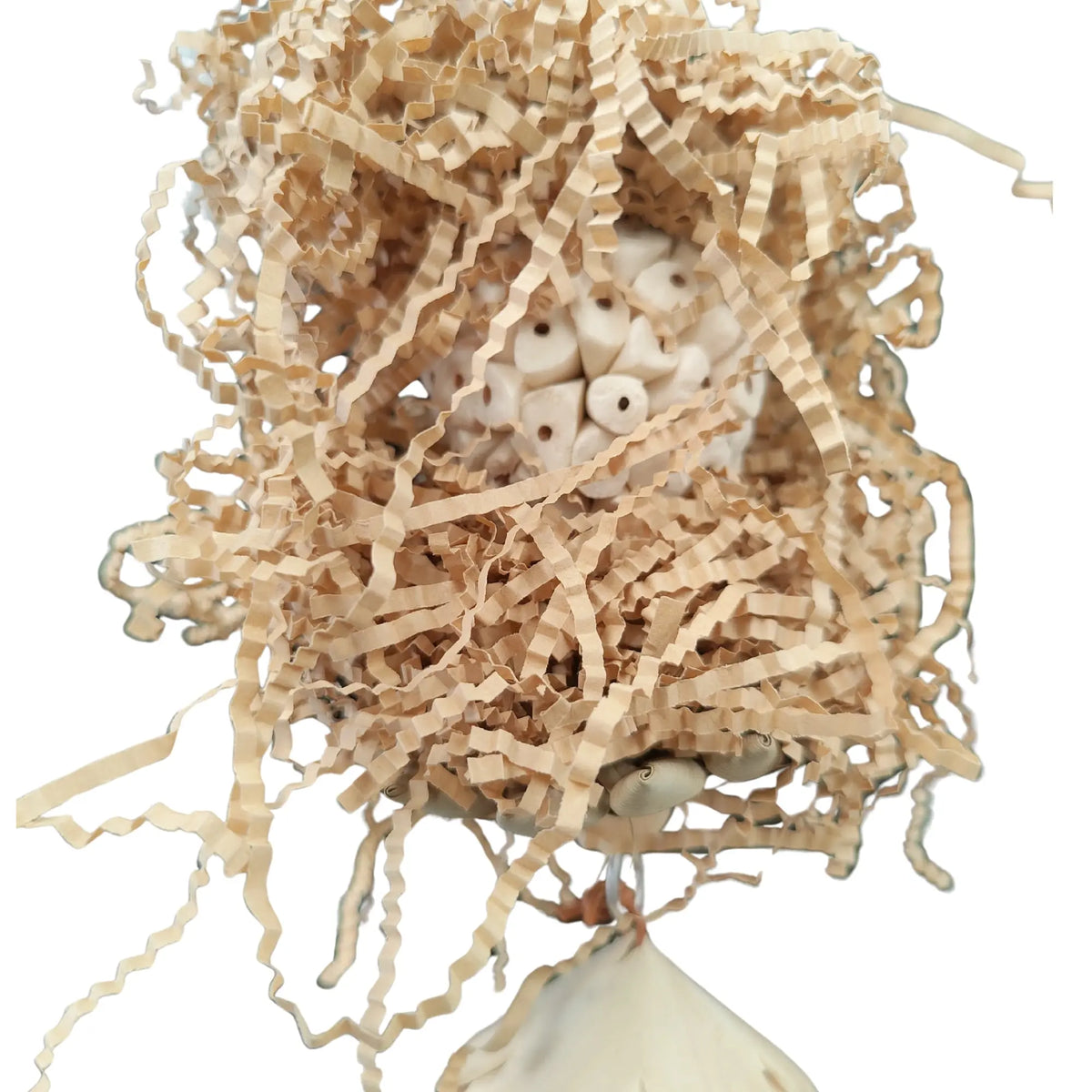 Hidden Sola Balls Bird Toy