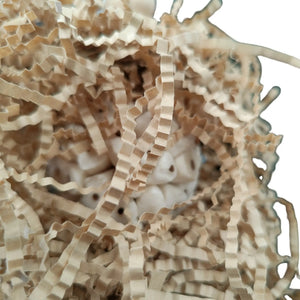 Hidden Sola Balls Bird Toy