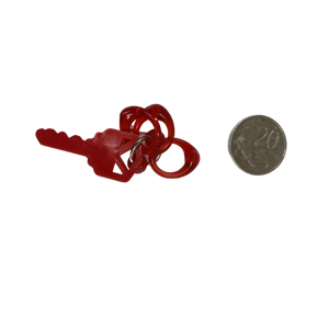 Key Foot Toy