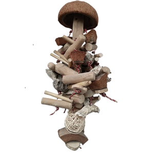 Large Coconut Chew Bird Toy