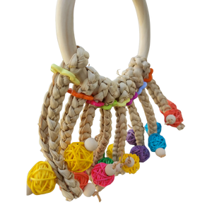Large Ring with Cane Balls Bird Toy