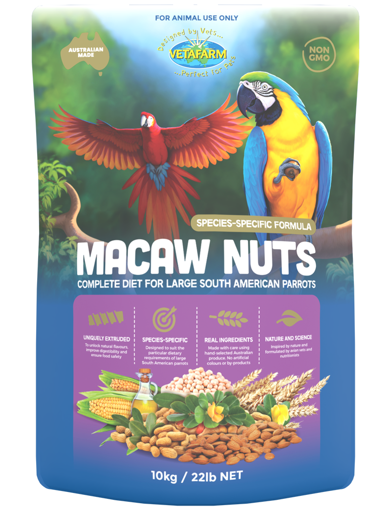 Macaw Nuts