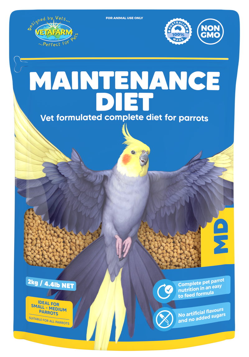 Maintenance Diet
