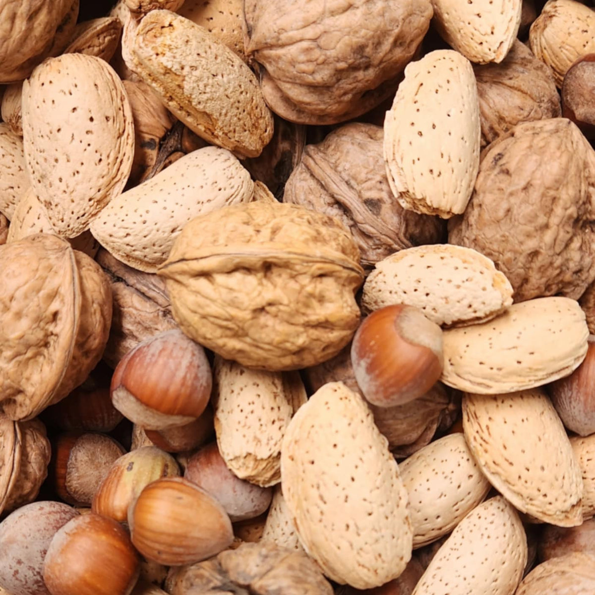 Mixed Nuts in Shell