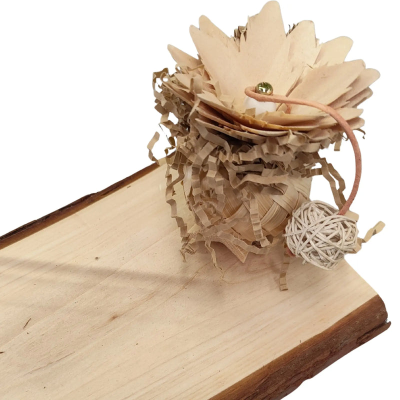 Natural Flat Perch Bird Toy