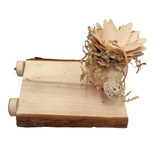 Natural Flat Perch Bird Toy