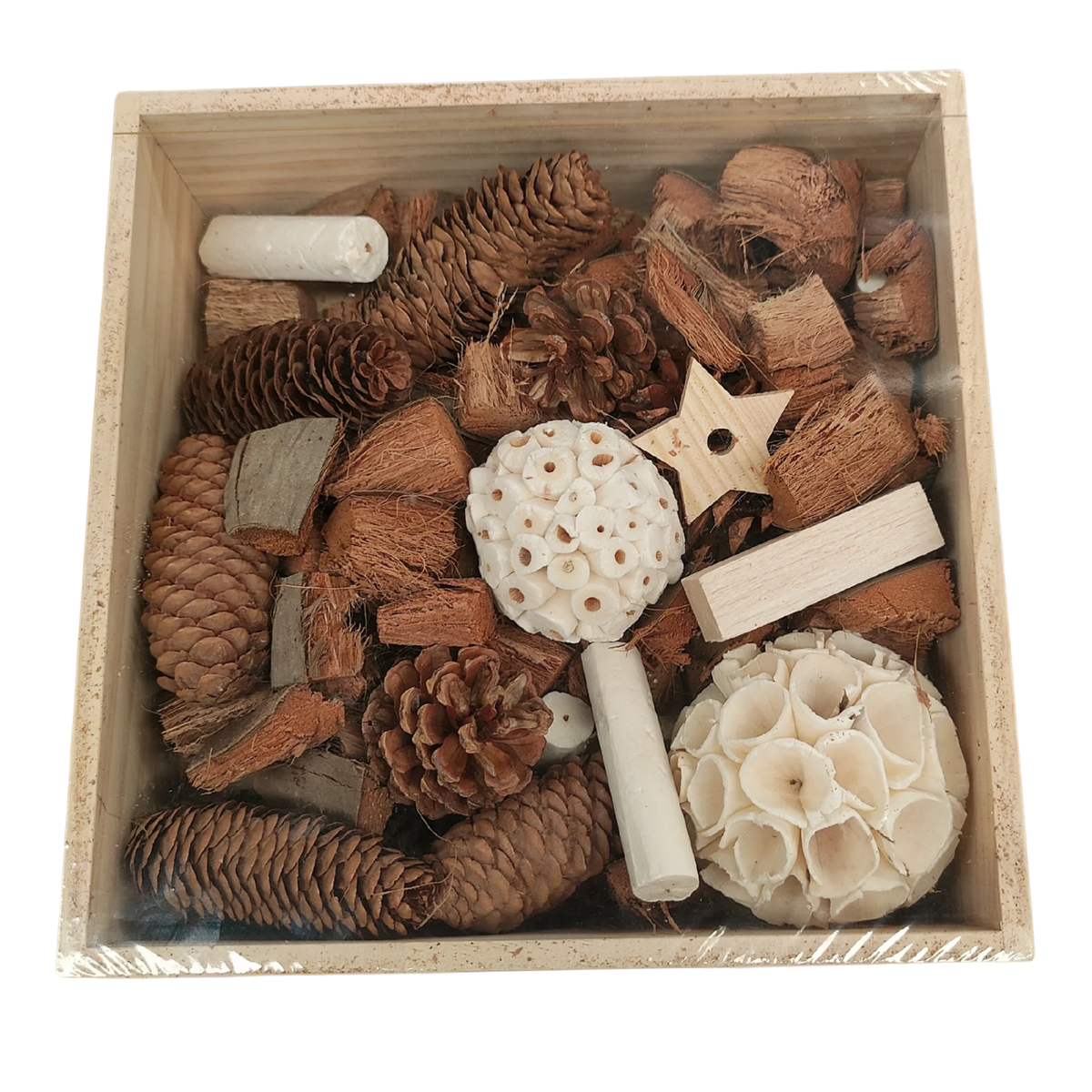 Natural foraging Box Bird Toy