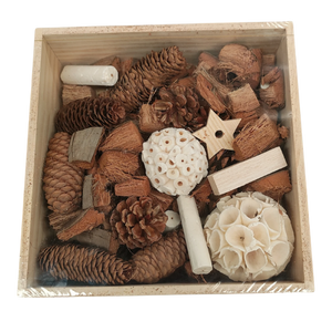 Natural foraging Box Bird Toy