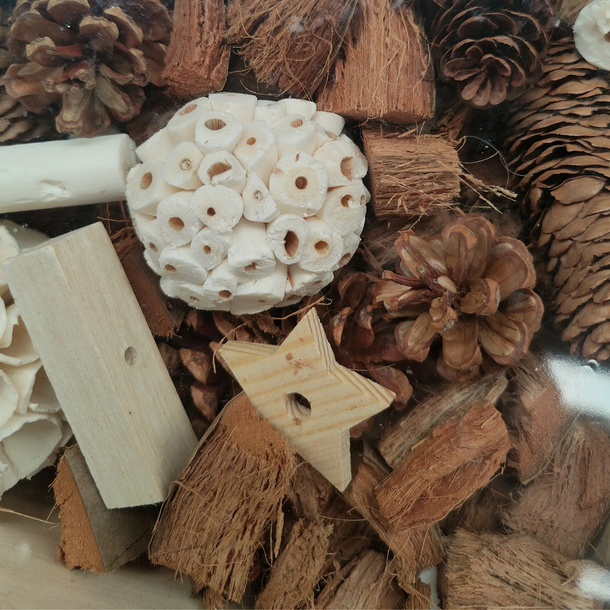 Natural foraging Box Bird Toy