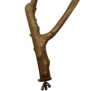 Natural Perch 25cm