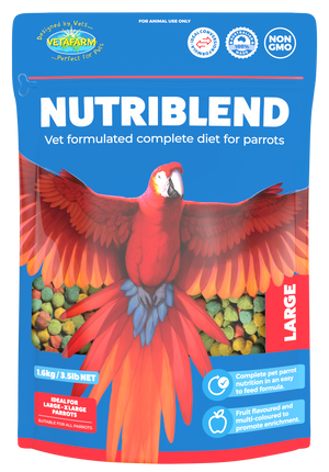 Nutriblend Large