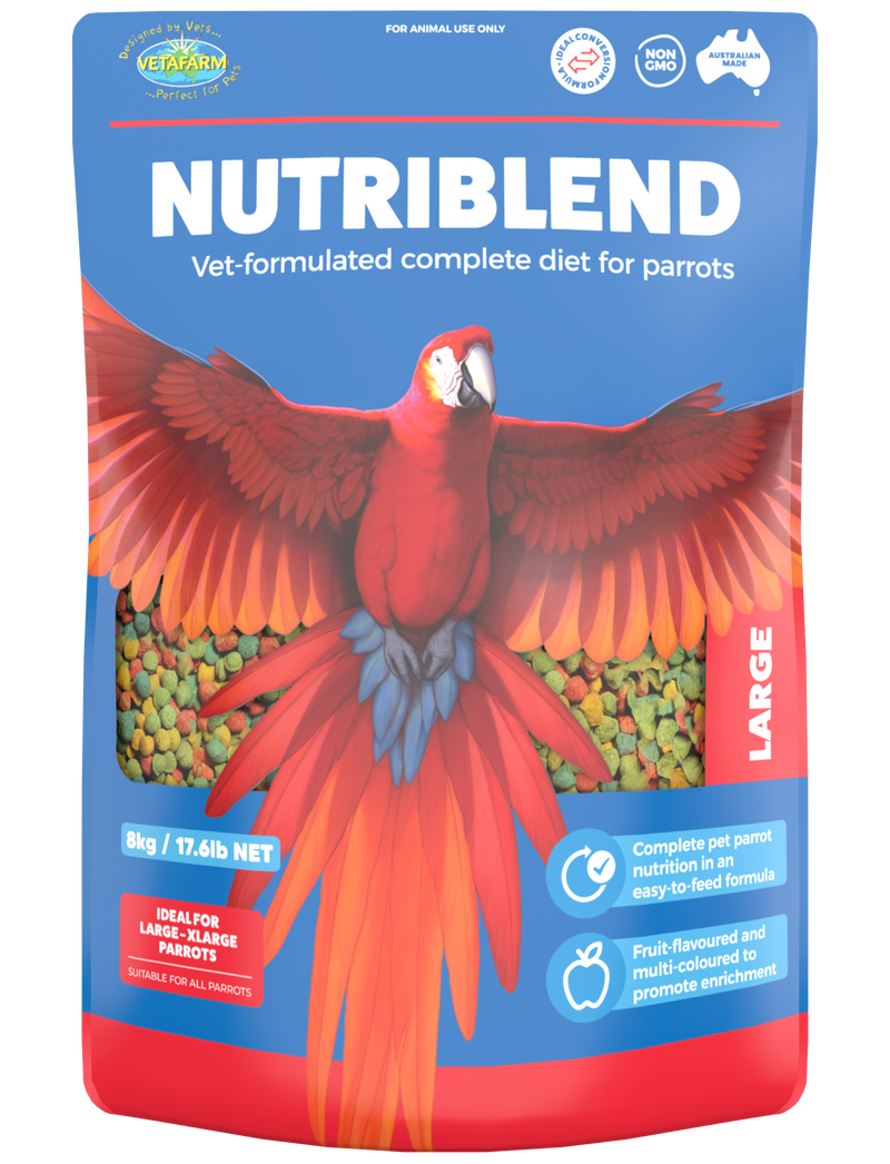Nutriblend Large