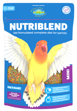 Nutriblend Mini