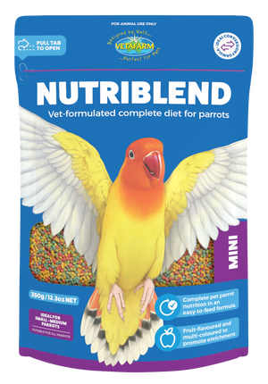Nutriblend Mini