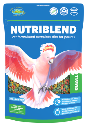 Nutriblend Small