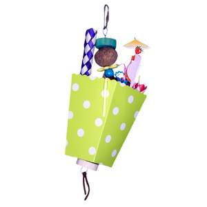 Poka Dot Box Bird Toy