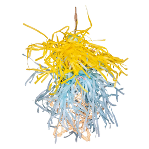 Shaggy Star Bird Toy