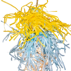 Shaggy Star Bird Toy