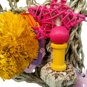 Shoe Mat Bird Toy