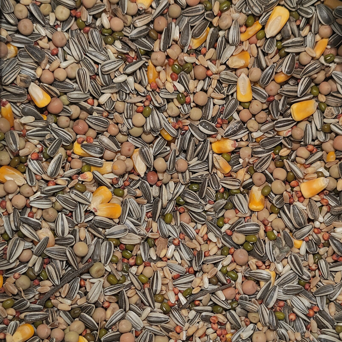 Soak Seed