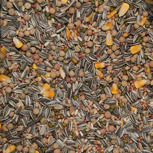 Soak Seed