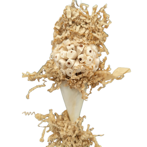 Sola Cone Bird Toy