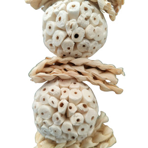 SolaPine Bird Toy