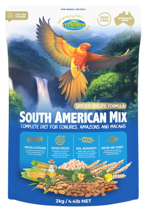 South American Mix