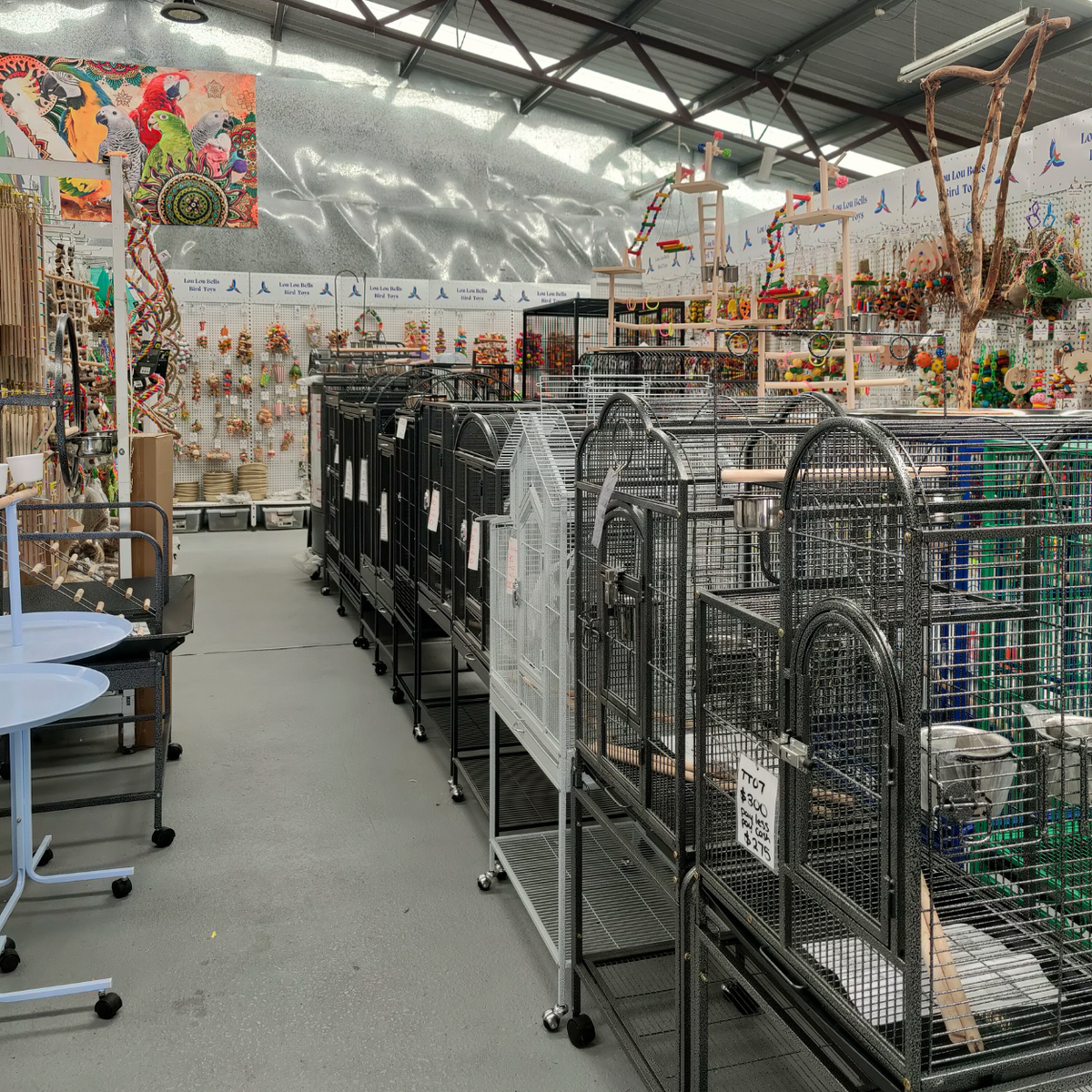 Range of Birds, Toys & Accessories