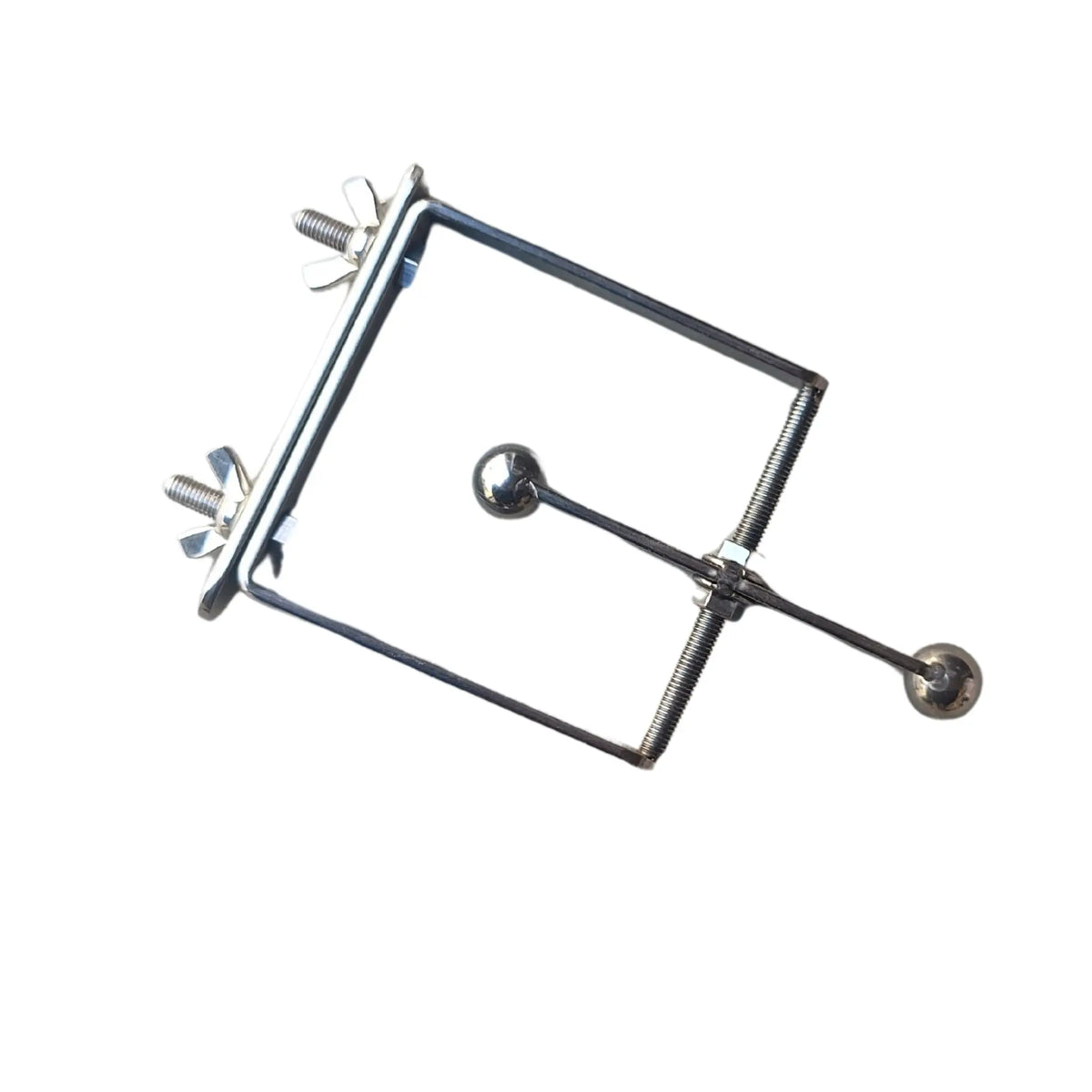 Stainless Steel Spinner Bird Toy