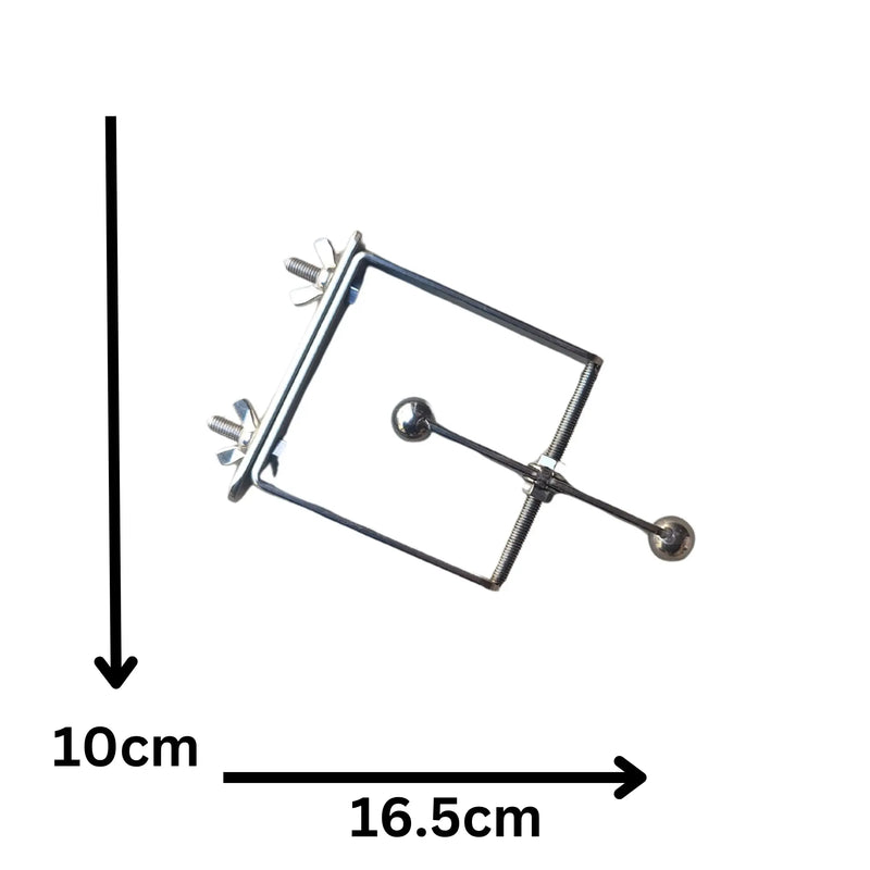 Stainless Steel Spinner Bird Toy