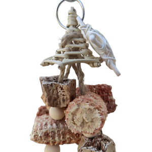 Star Hat Bird Toy