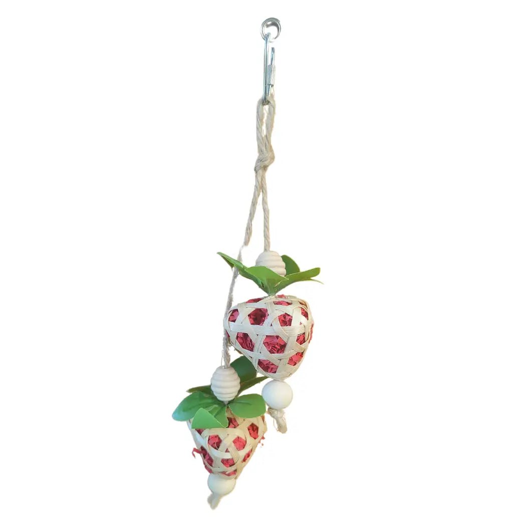 Strawberries Bird Toy
