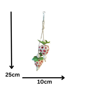 Strawberries Bird Toy
